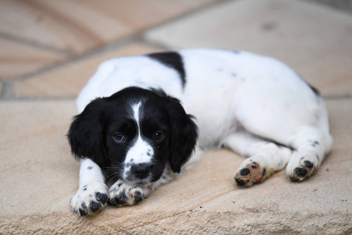 James D. Morgan Archive