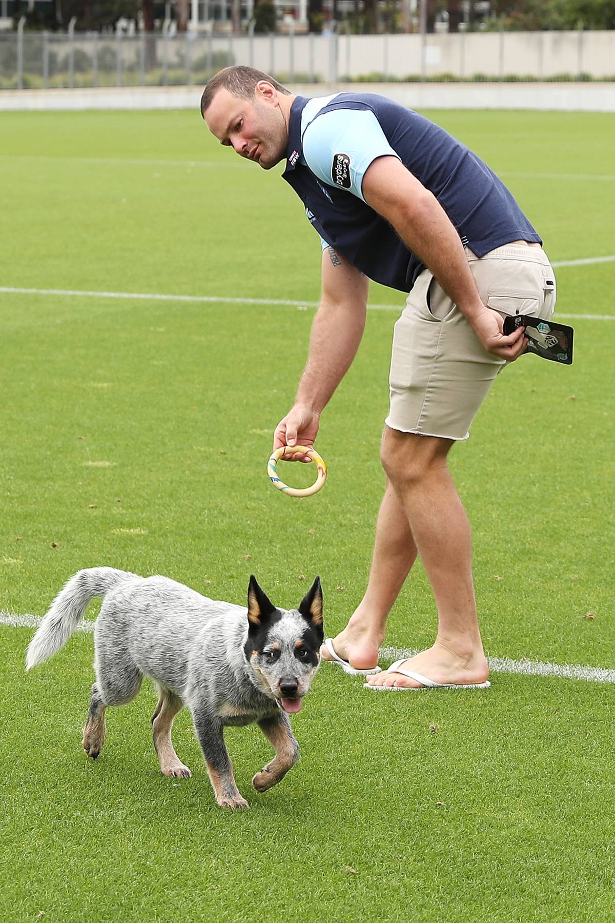 NSW Blues Media Opportunity