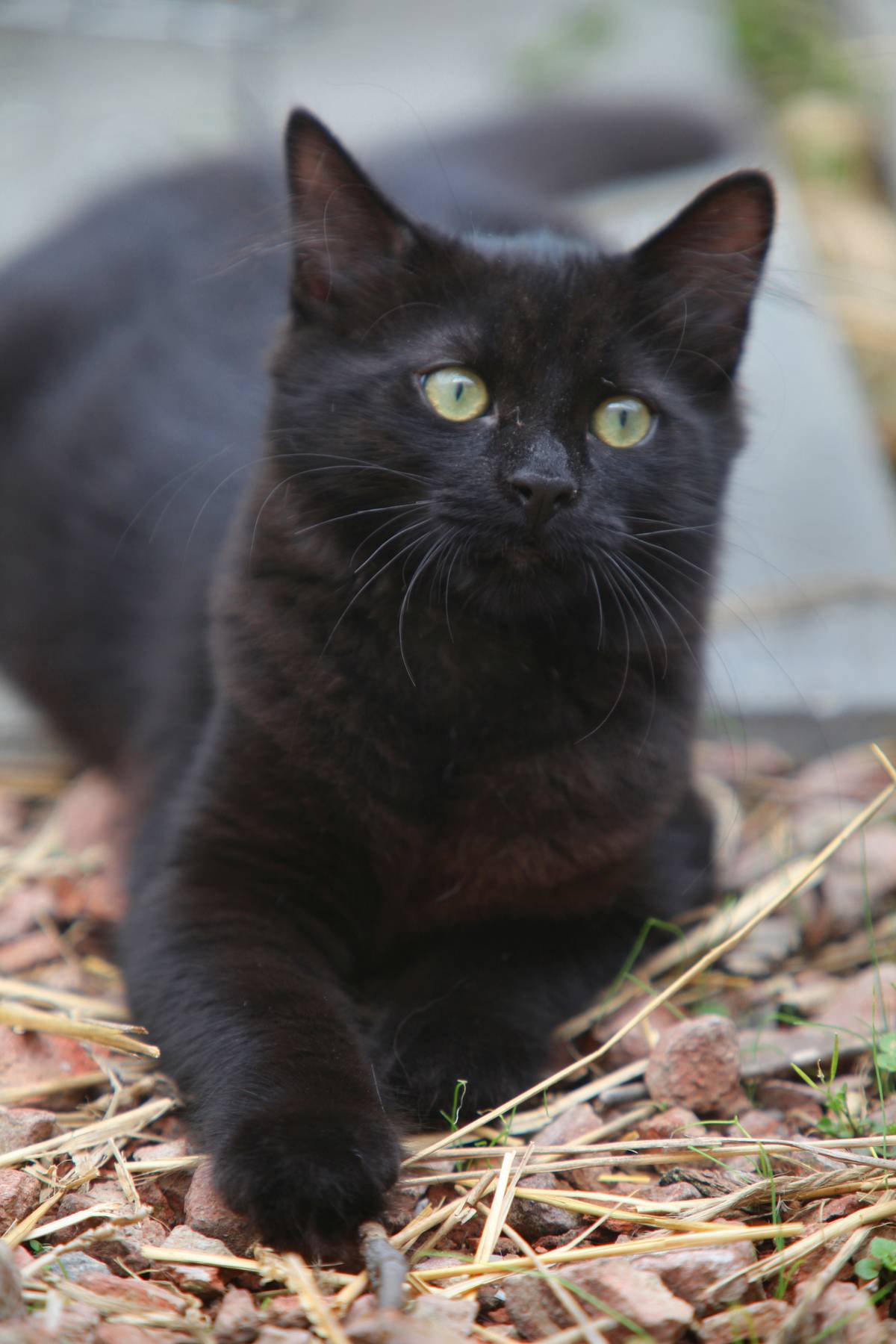 GettyImages-1234110820