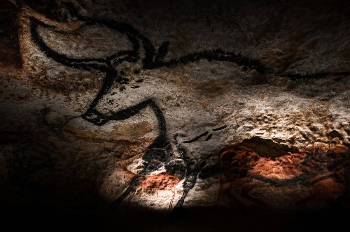 FRANCE-HERITAGE-LASCAUX-HEALTH-VIRUS