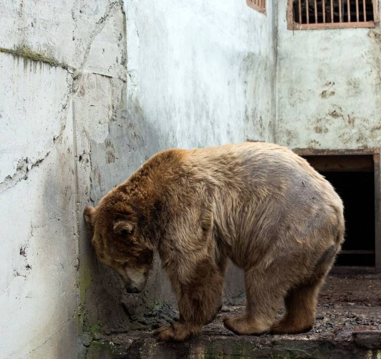 Screenshot 2022-06-17 054728