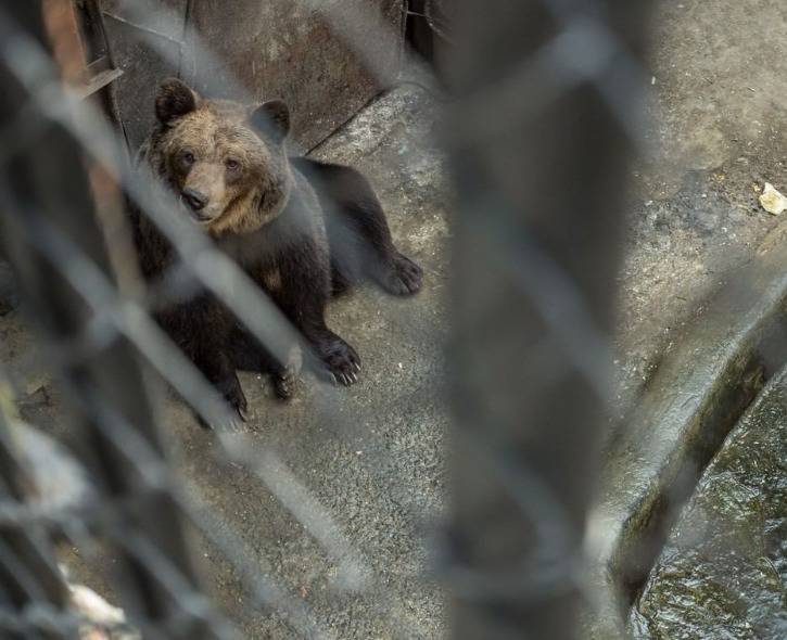 Screenshot 2022-06-17 054802