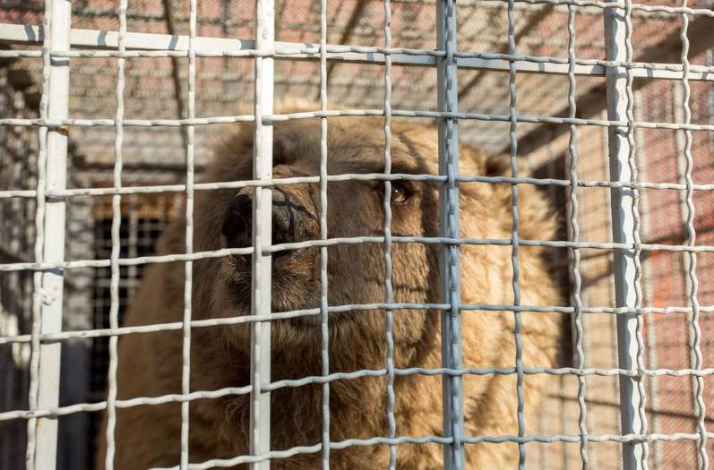 Screenshot 2022-06-17 054956