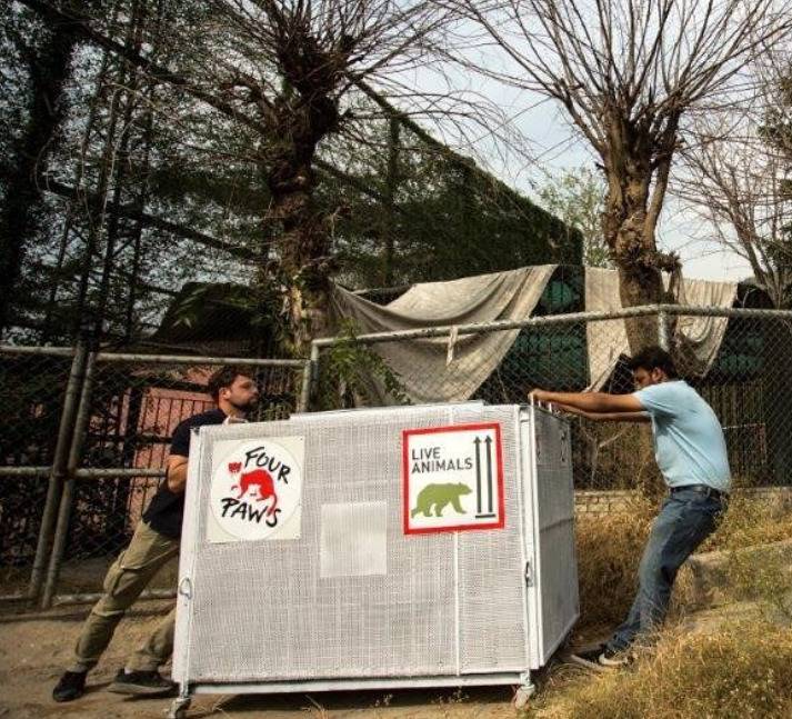 Screenshot 2022-06-17 055104