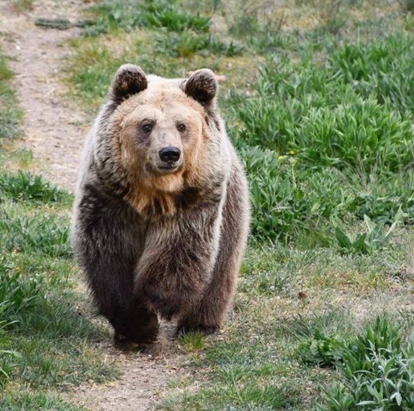 Screenshot 2022-06-17 060613