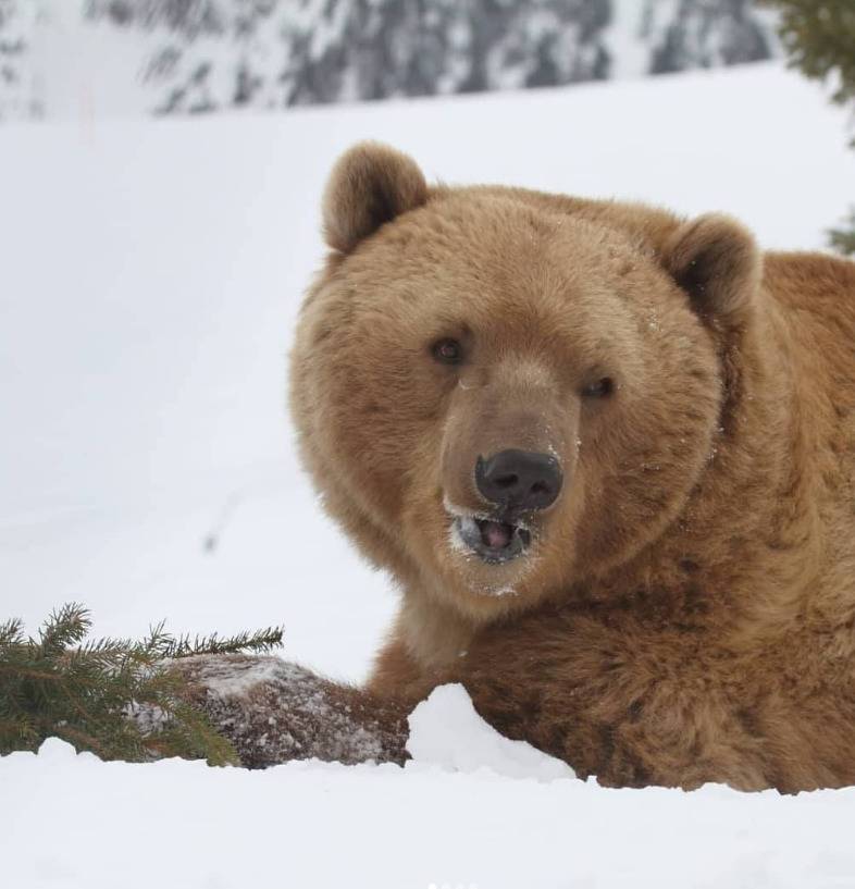 Screenshot 2022-06-17 060956