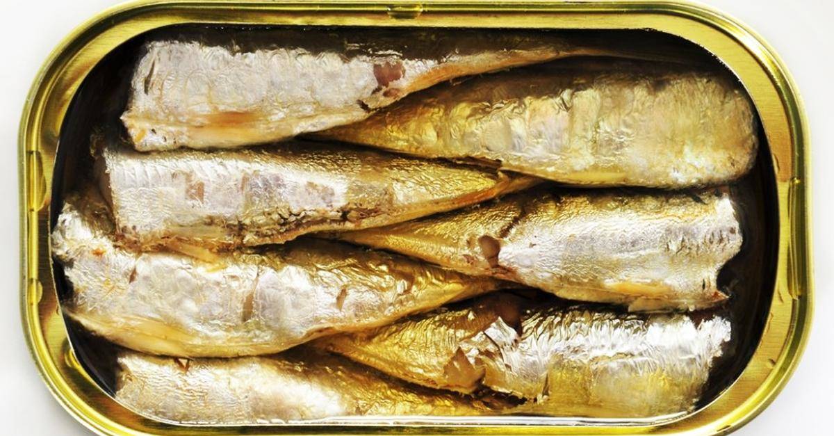 sardines in a can