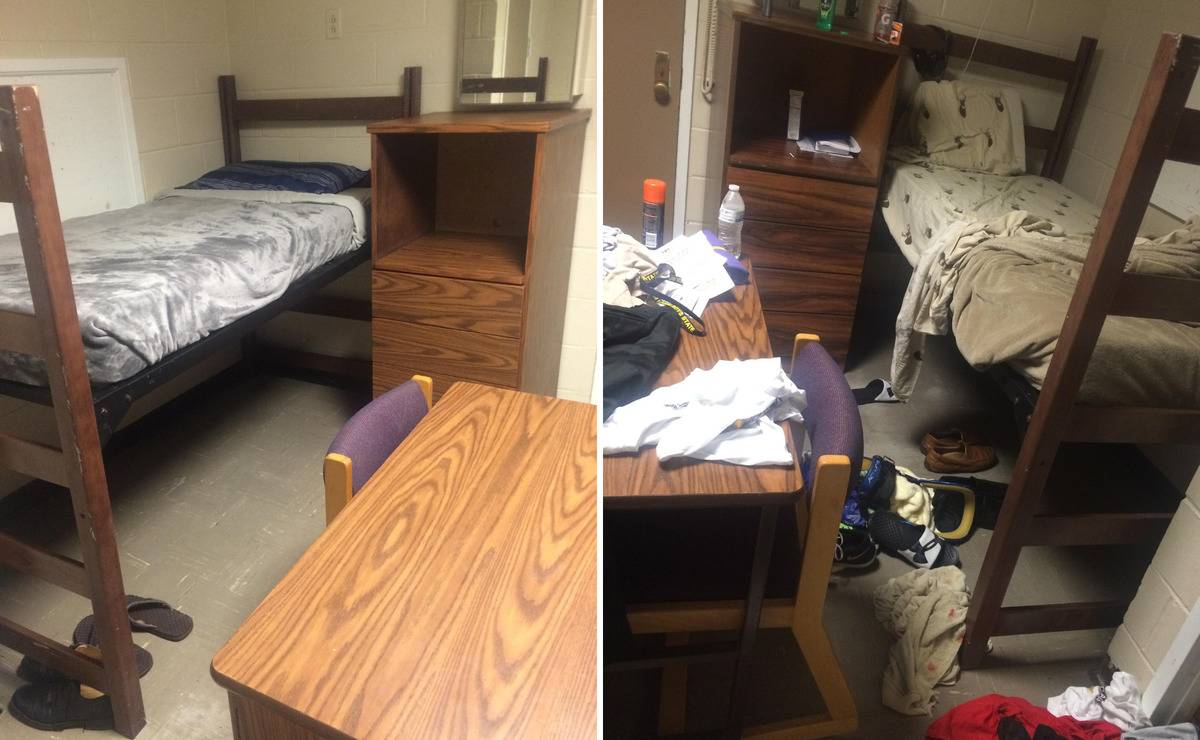 Imgur-WalnutWisdom-RoommatesComposite
