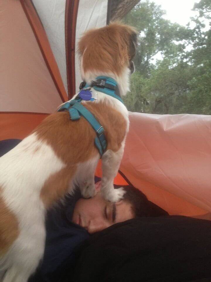 image-FxJ9027jtZ10LFcC