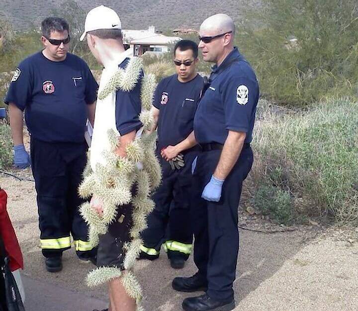 image-VPJaBFSEt2M3aTjU