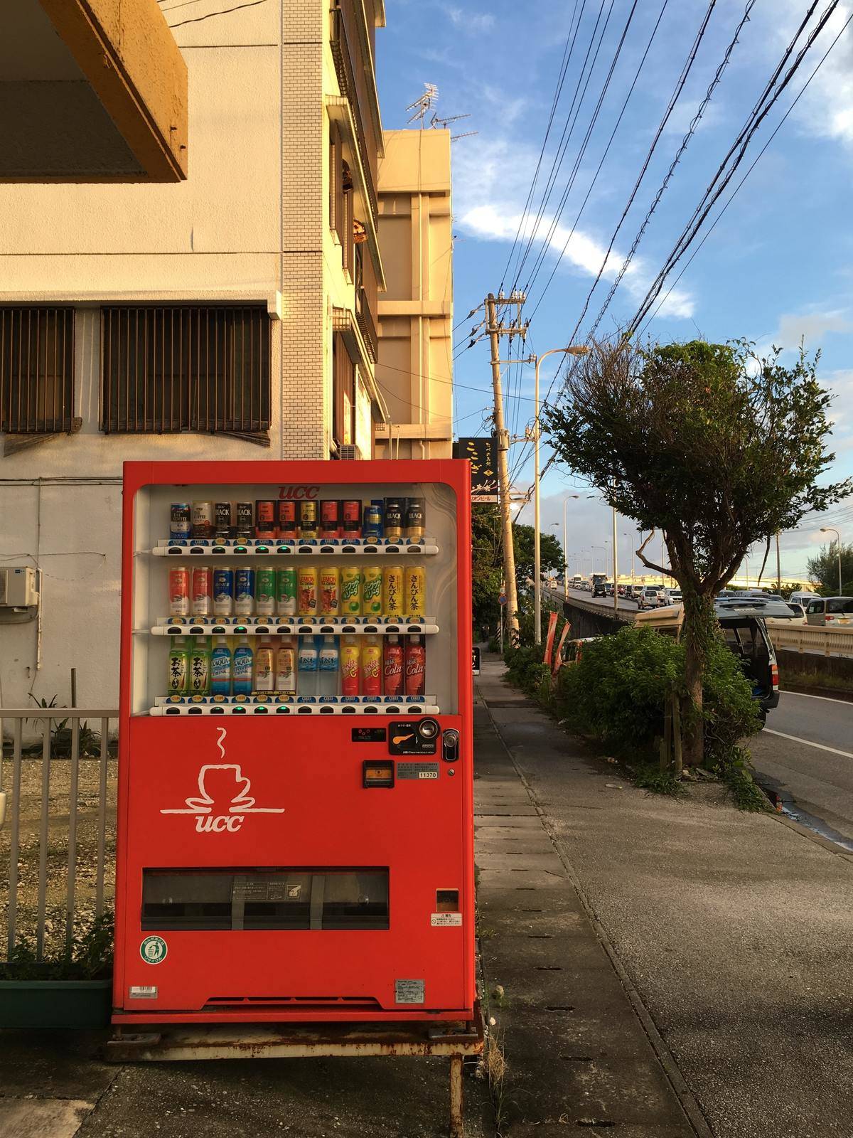 pexels-chiachi-chuang-12870410