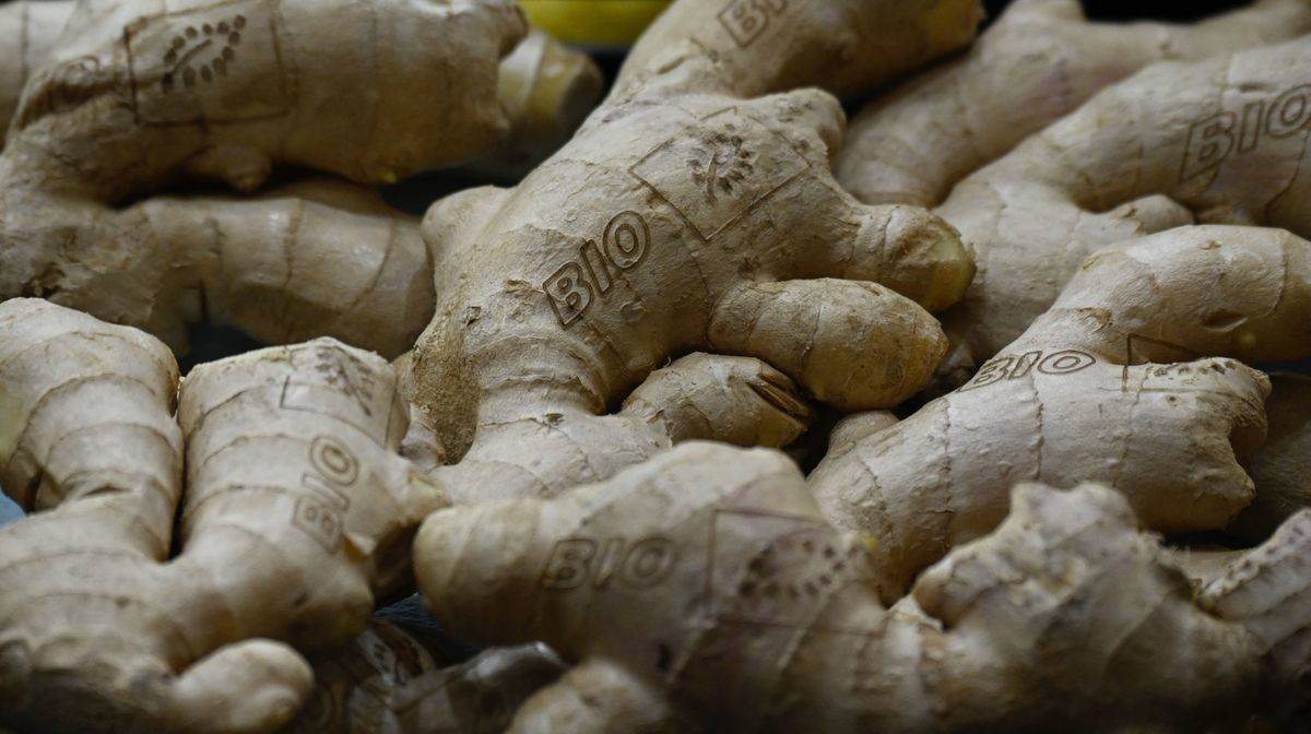 GERMANY-AGRICULTURE-FAIR-FRUIT-LOGISTICA-ECONOMY-INFLATION