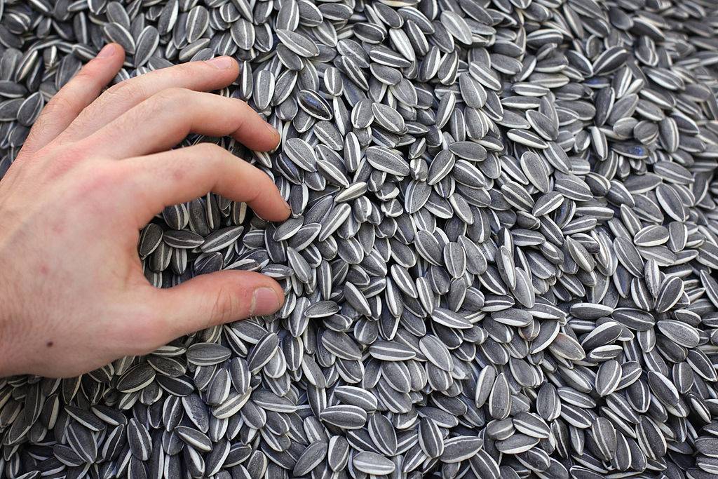 GettyImages-108633102