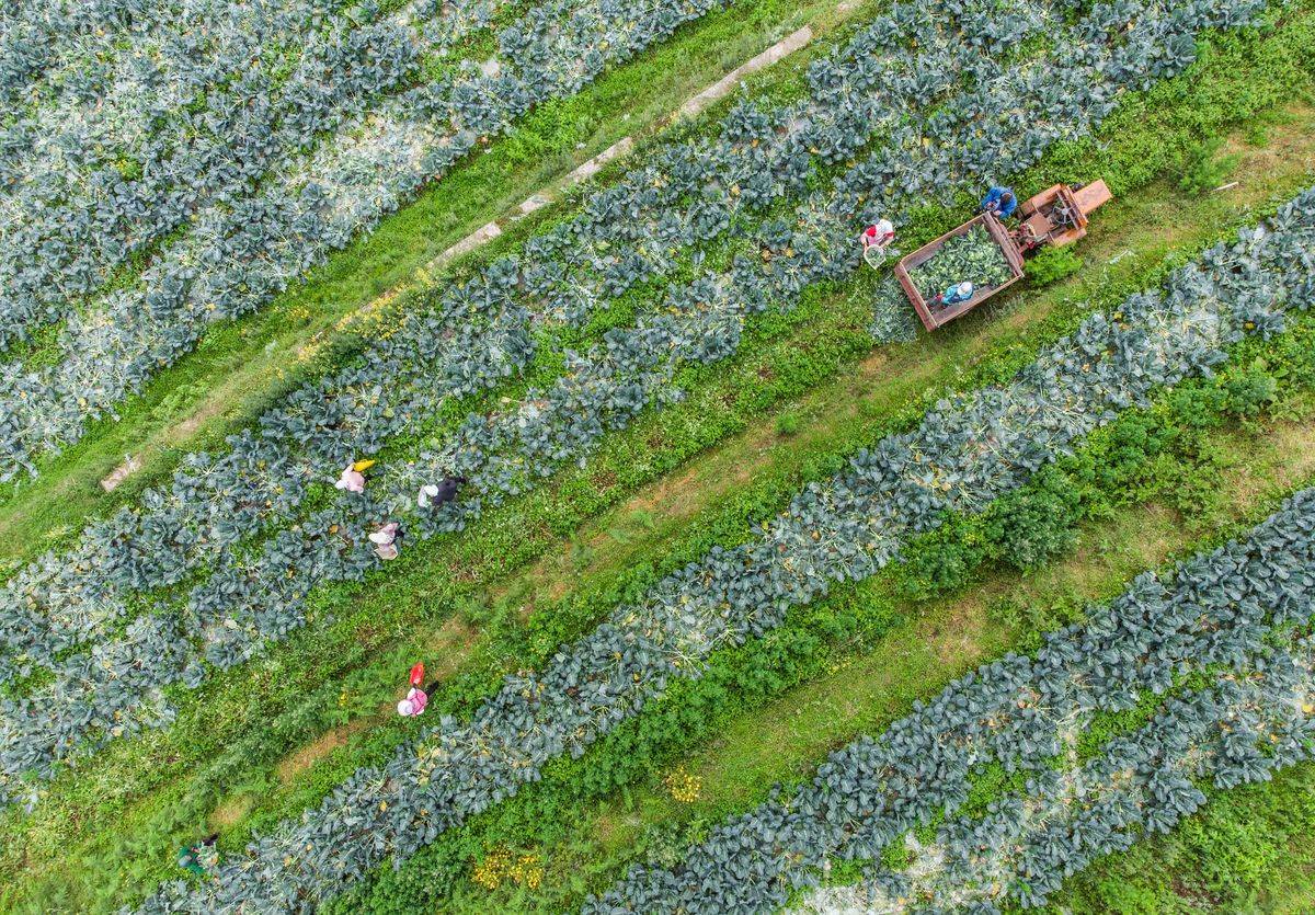 GettyImages-1233866049