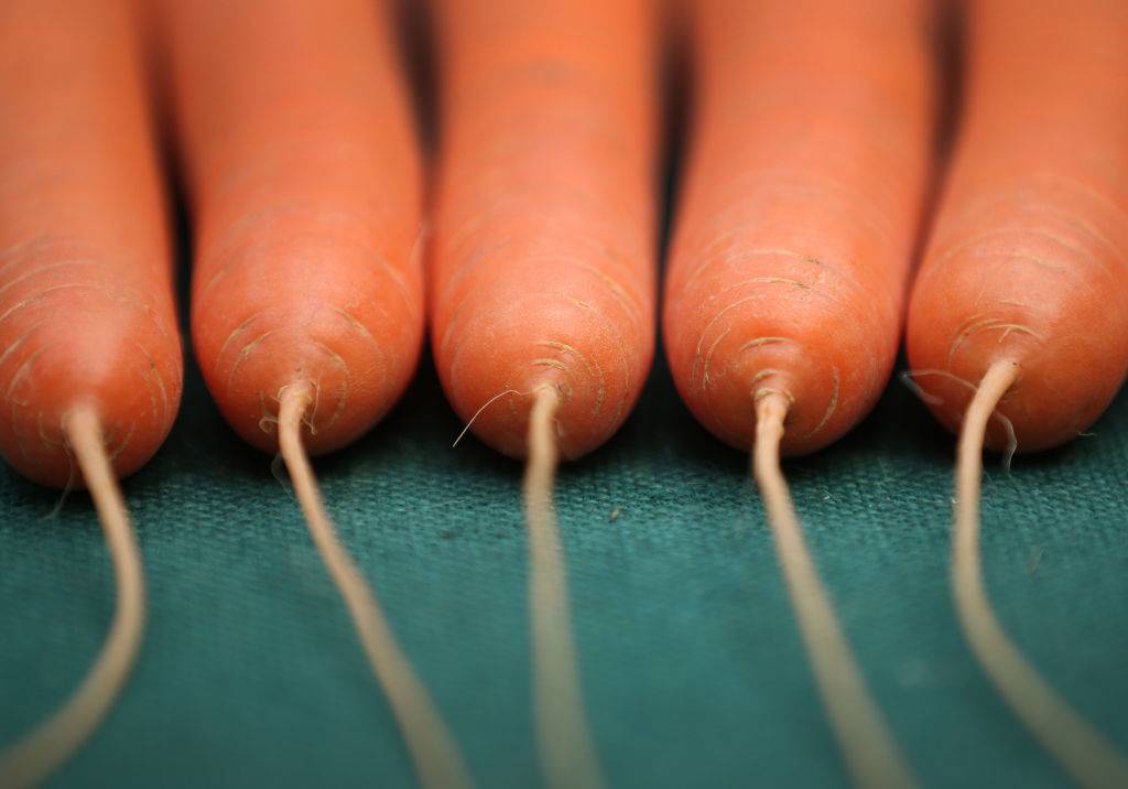 GettyImages-183699771