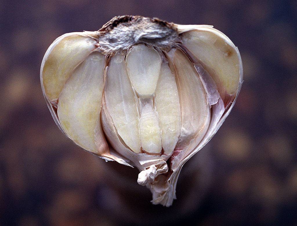 GettyImages-56049484