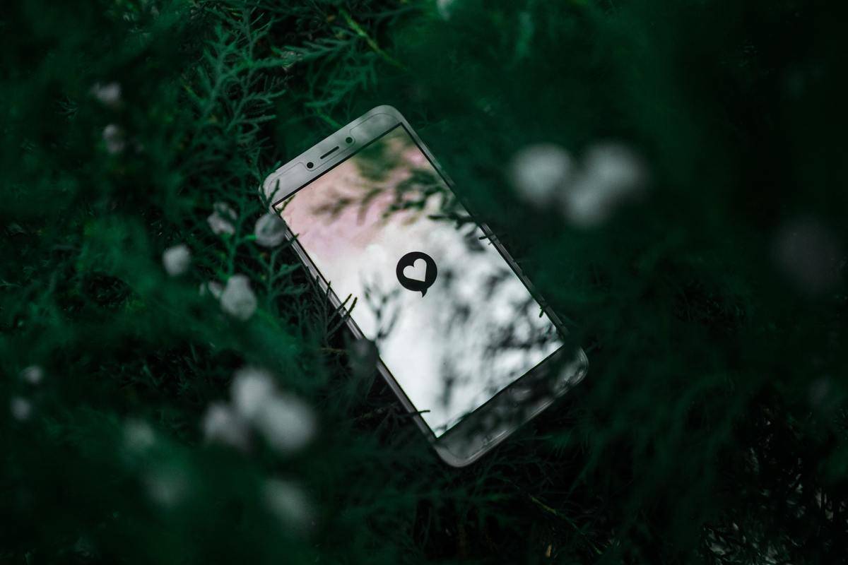 phone in a tree with a heart shape in a speech bubble on screen 