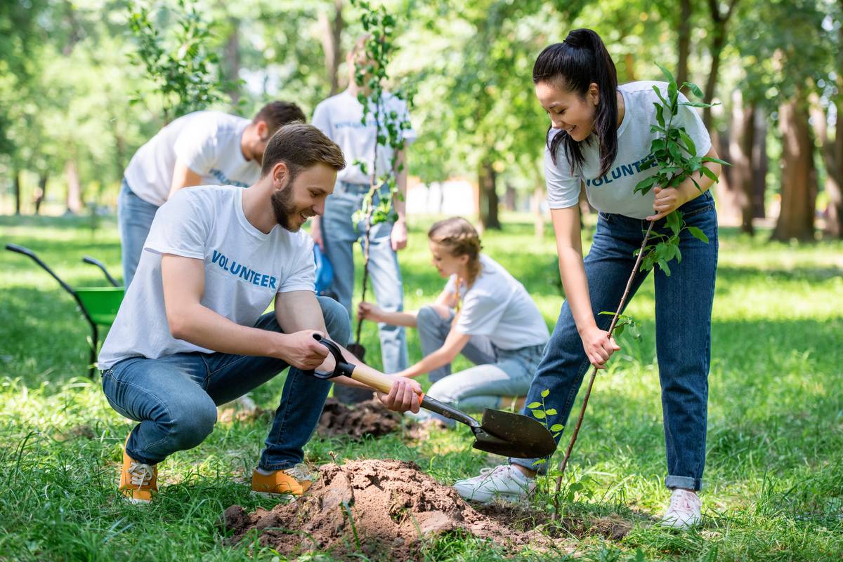 young-volunteers-planting-trees-in-green-park-toge-2022-12-16-20-35-19-utc