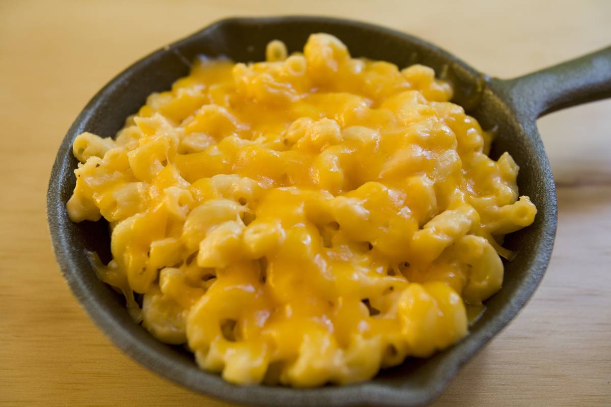 Macarrão com queijo: um dos pratos favoritos dos americanos e brasileiros