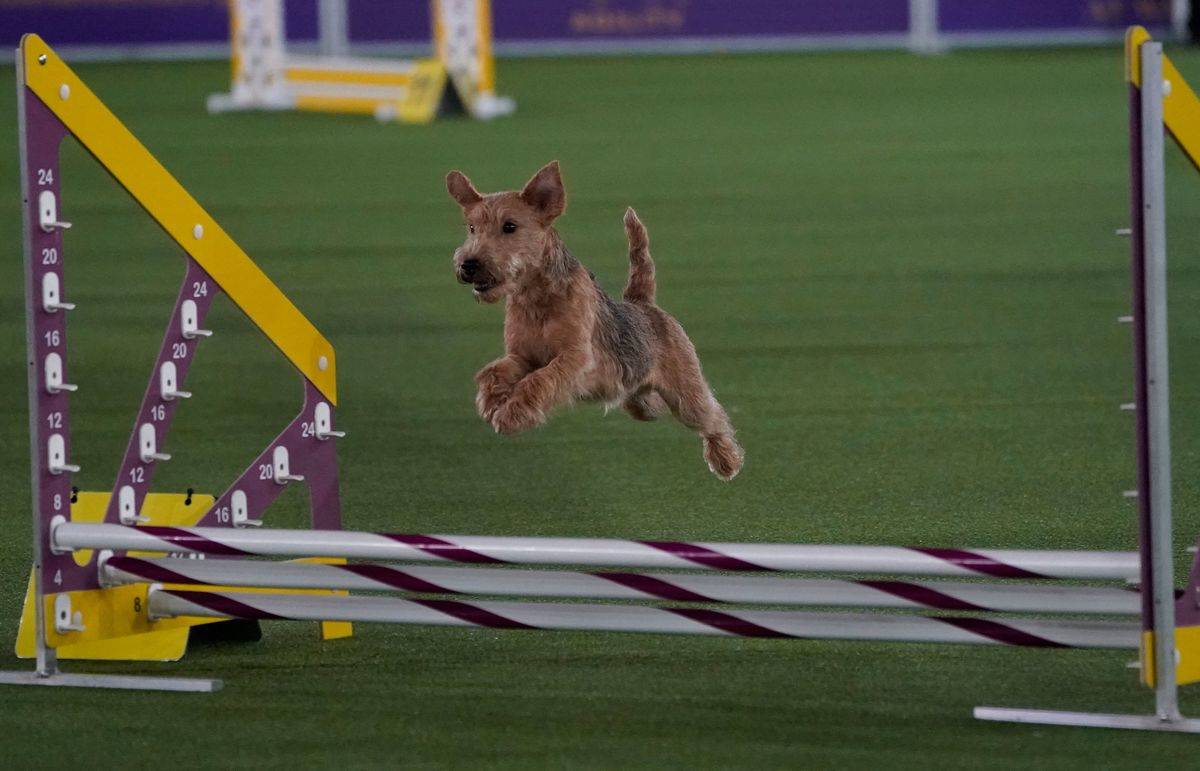 GettyImages-1233394885