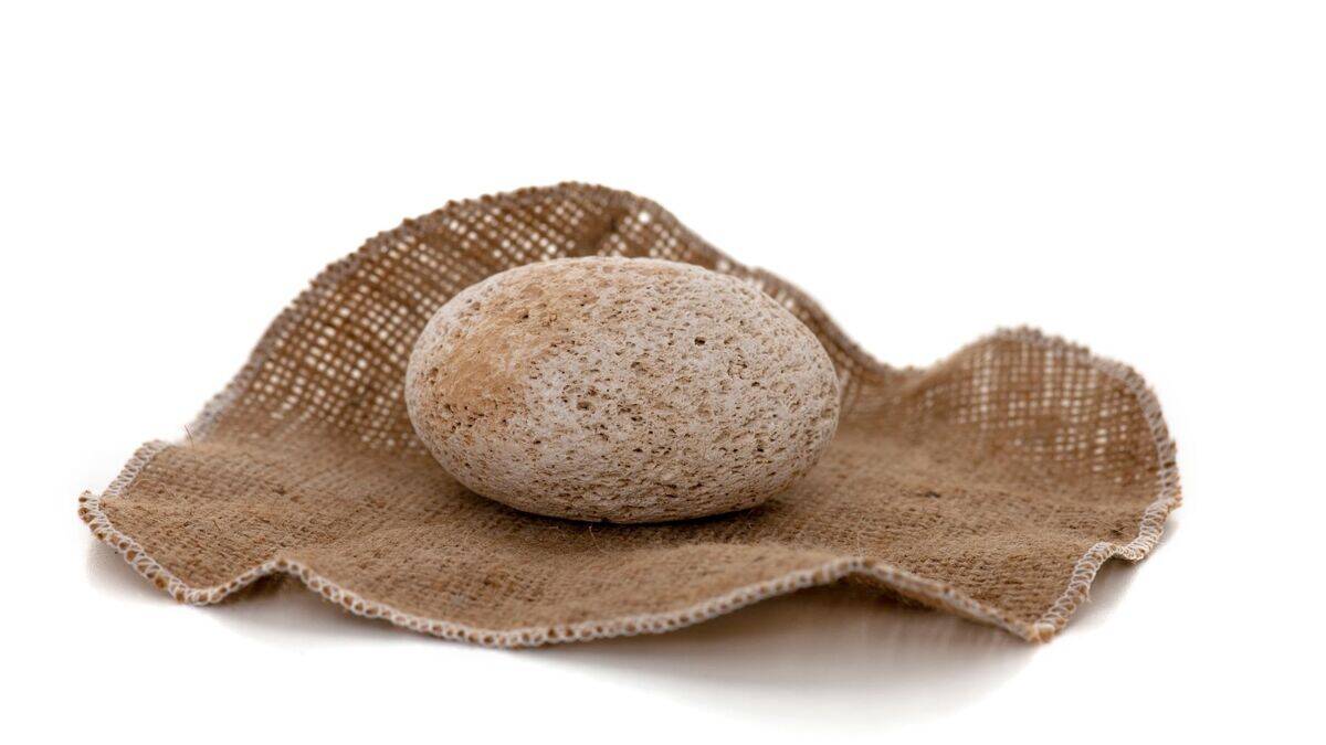 Untitled design (11)