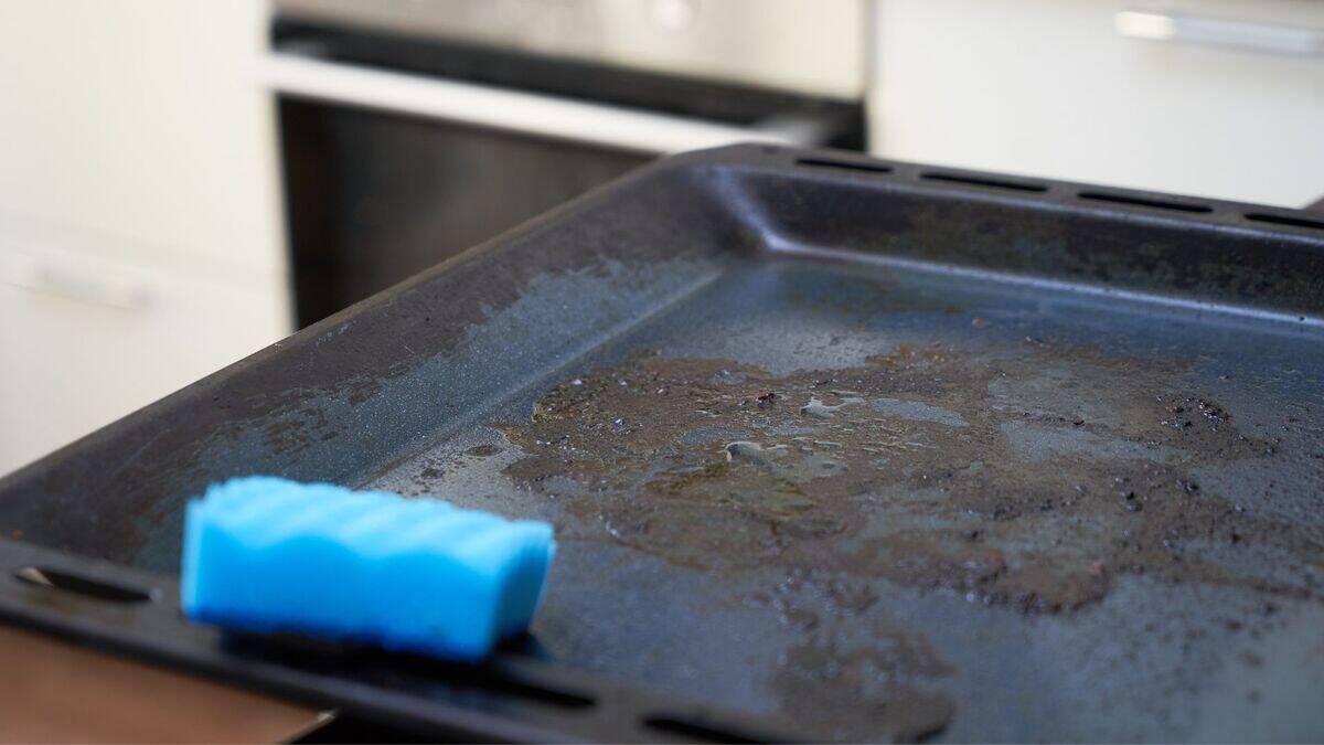 Untitled design (13)