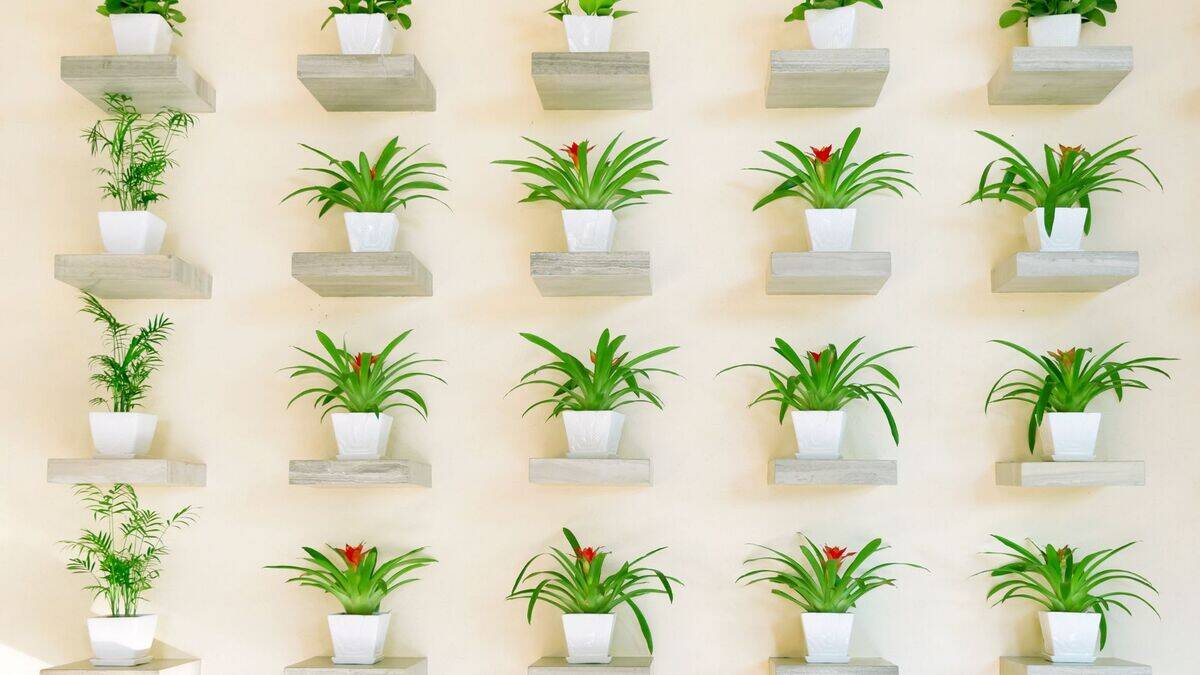 Untitled design (17)