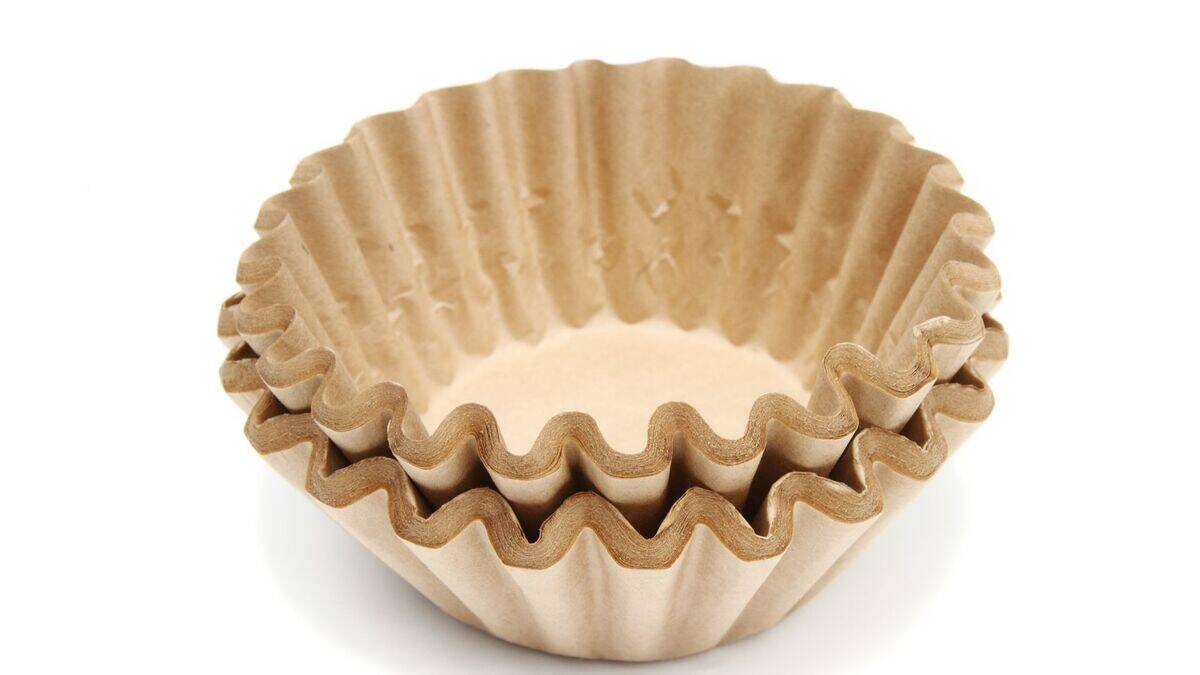 Untitled design (21)