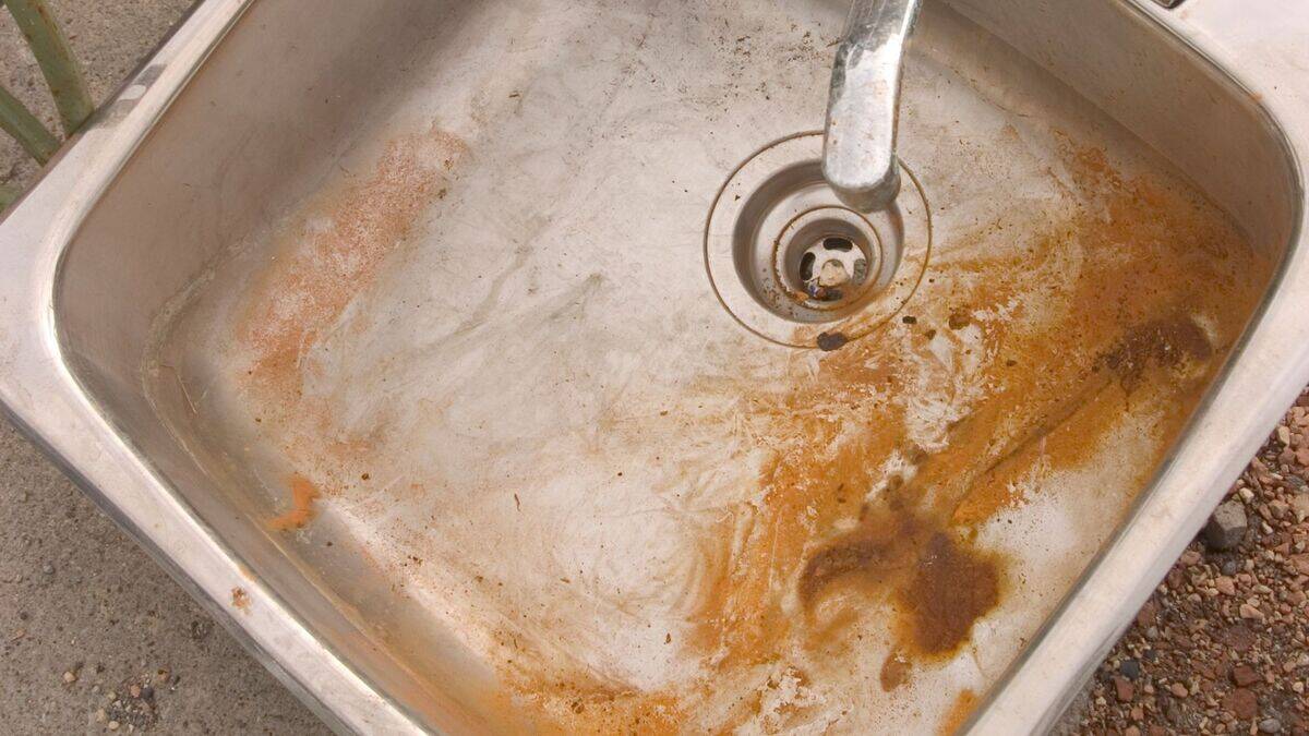 Untitled design (22)