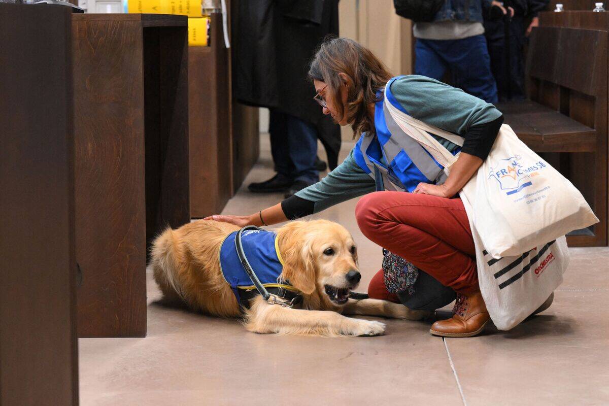 A member of a victim assitance association pets a service dog before the opening of the trial of the Millas case in Marseille, southern France,
on September 19, 2022. The presence of an emotional support dog during
the hearing allows attendees to relax and express themselves freely.
