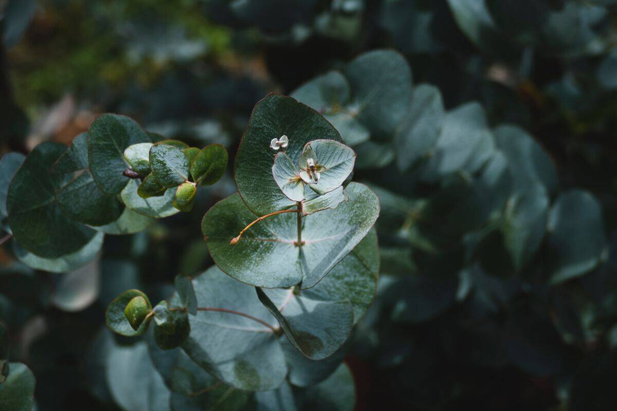 josefin-dIEa0BytZ_g-unsplash