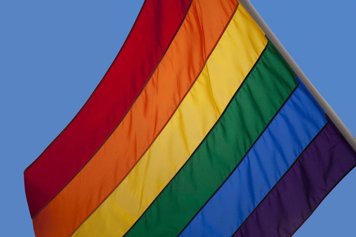 UK - Culture - Gay and lesbian Pride Parade through central London