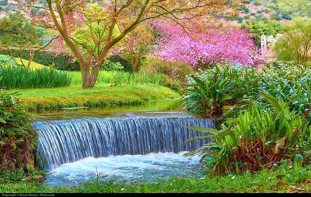 Garden_of_Ninfa_(8680497492)