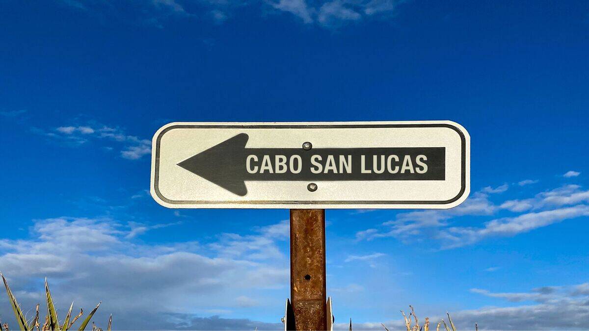 Untitled design (38)