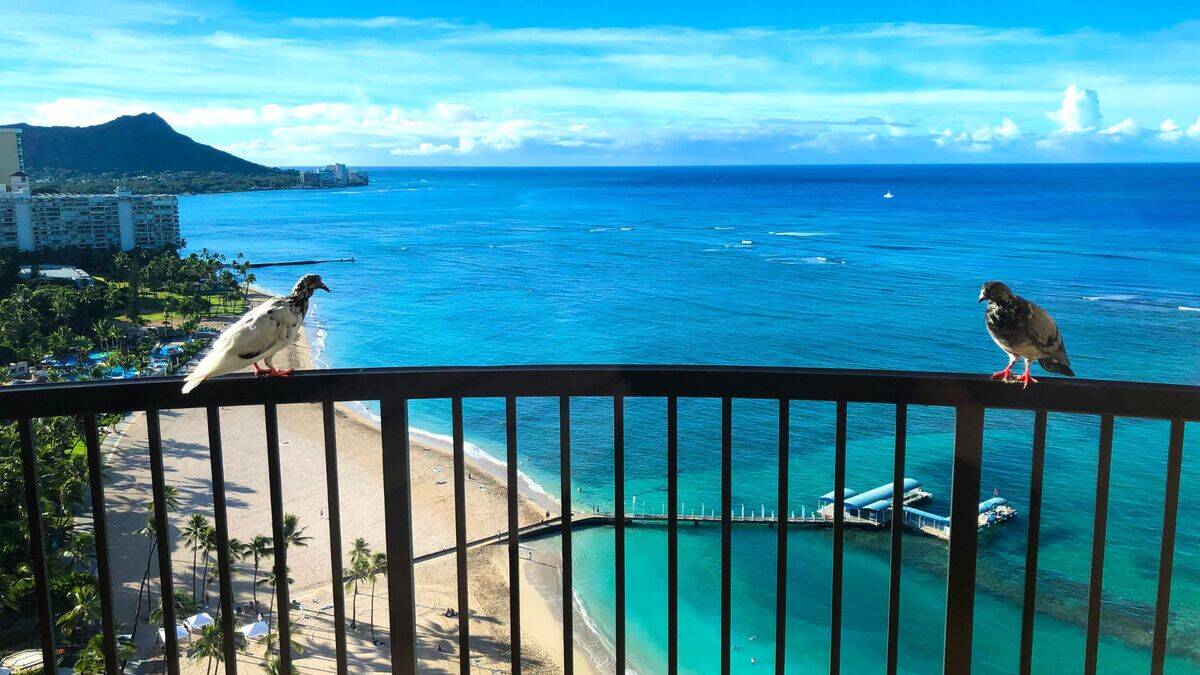 Untitled design (41)