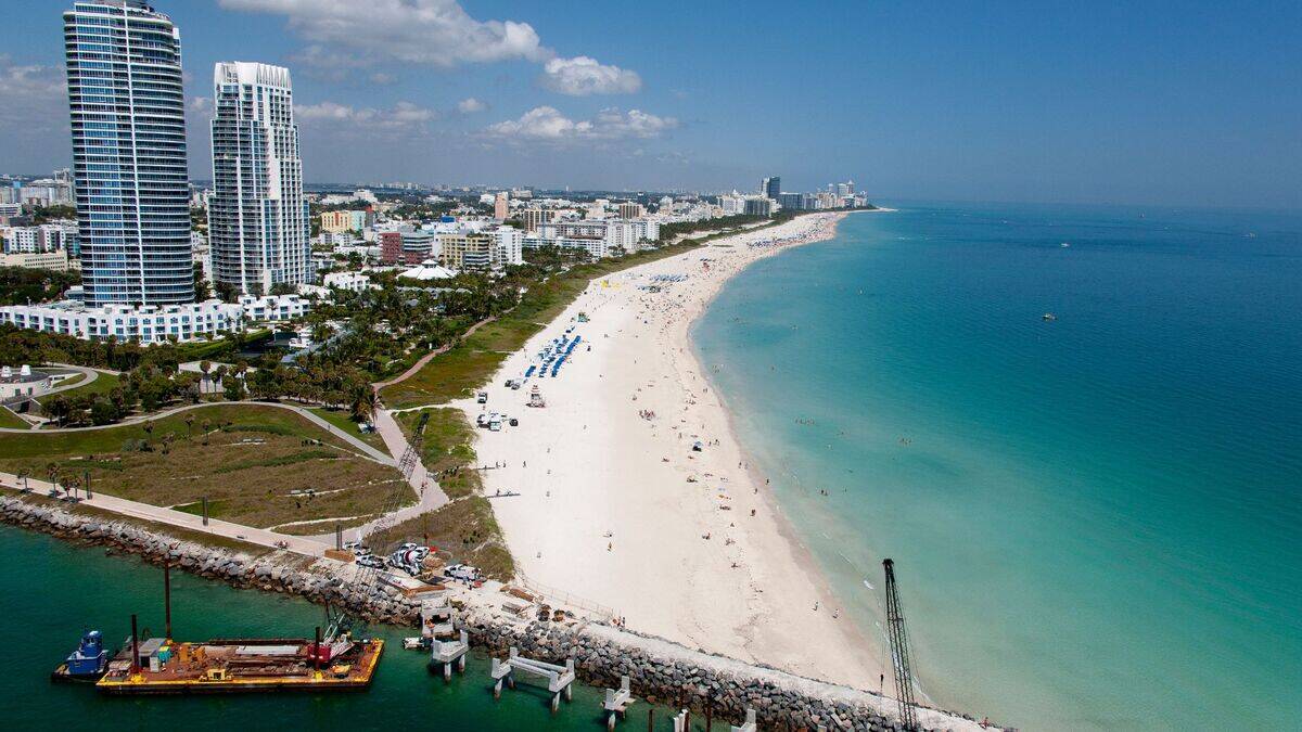 Untitled design (49)