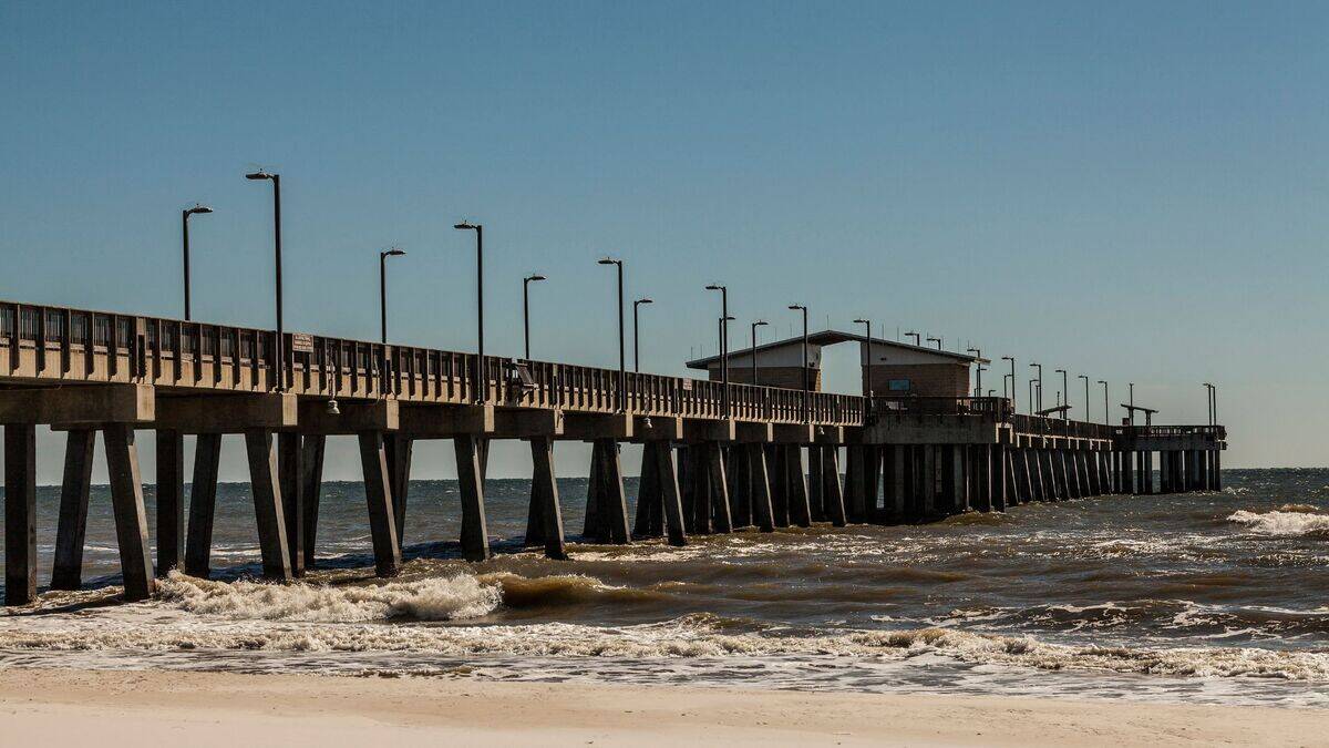 Untitled design (58)