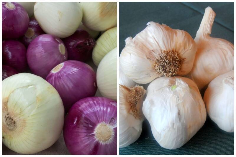 Collage Maker-01-May-2023-12-39-PM-5382