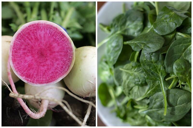 Radish and Spinach