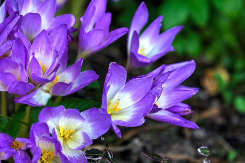 Untitled design (22)