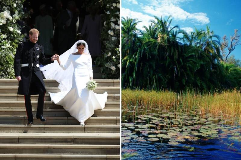 harry and meghan wedding and honeymoon