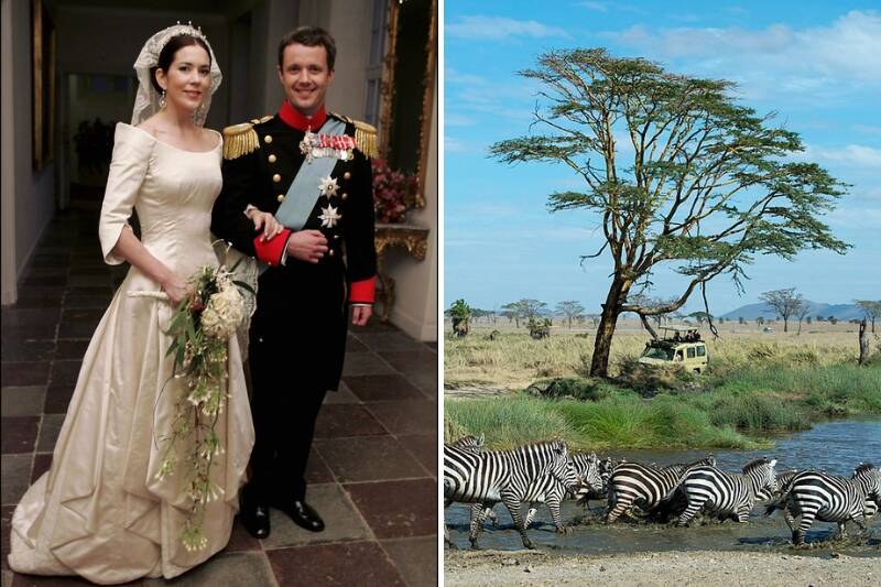 prince frederik and mary donaldson wedding and honeymoon