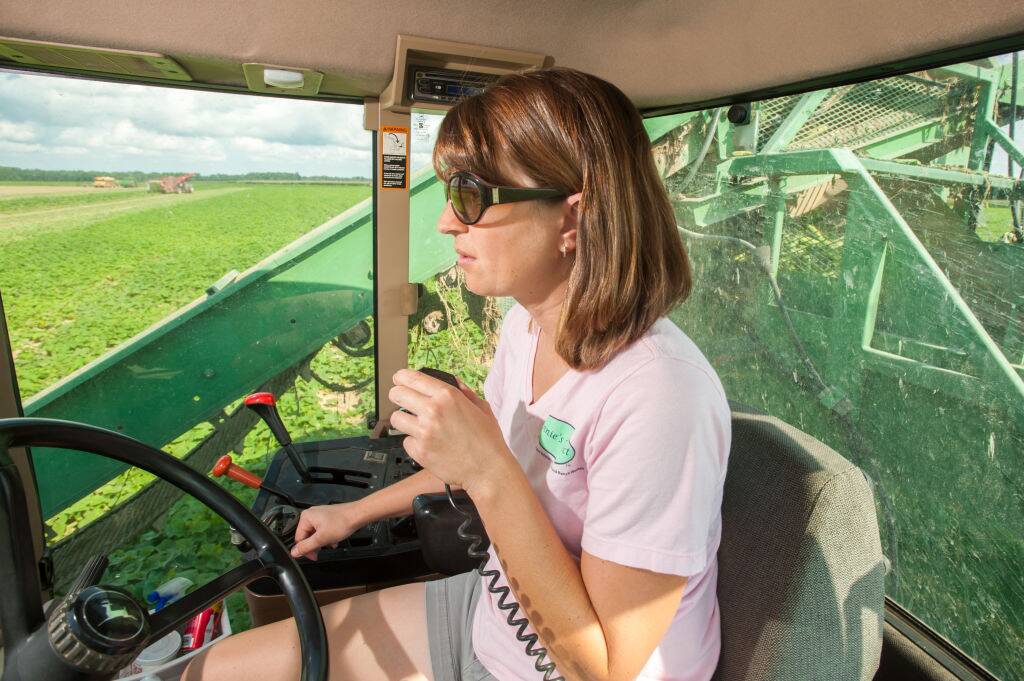 Cucumber harvester truck