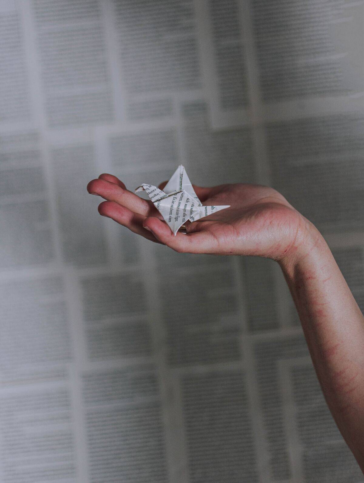 lilartsy-LsB0OLB083A-unsplash