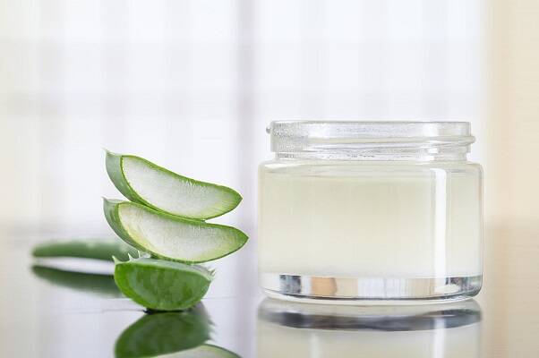 06 Aloe Vera 3