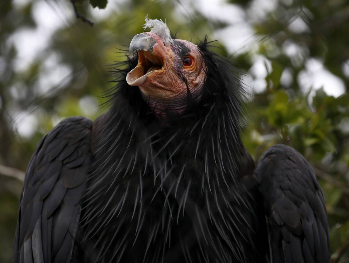 GettyImages-1408764251