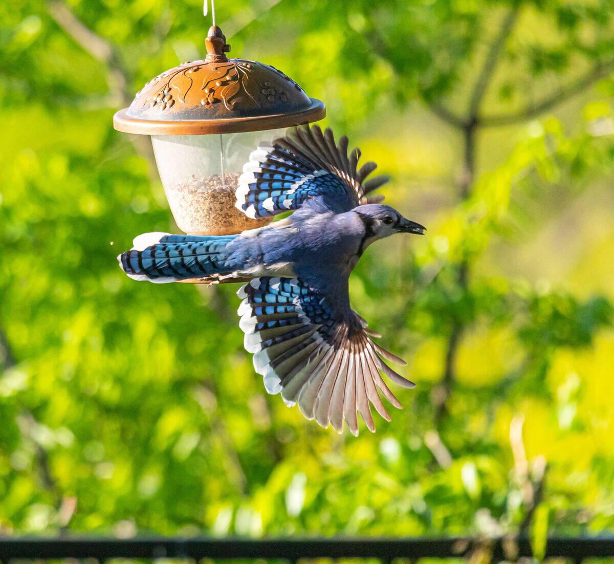 gerhard-crous-G_mYUvUHh_U-unsplash