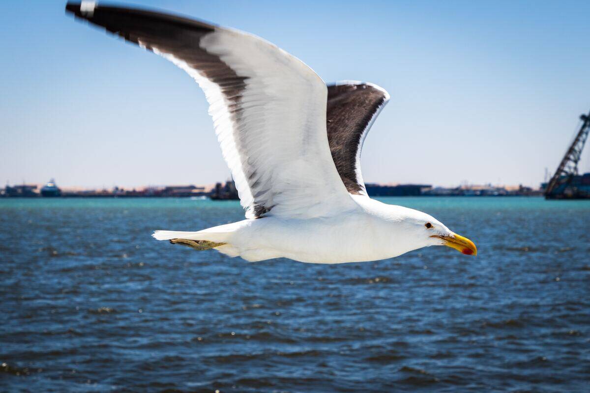 grant-durr-zwzM8EJ_iQo-unsplash