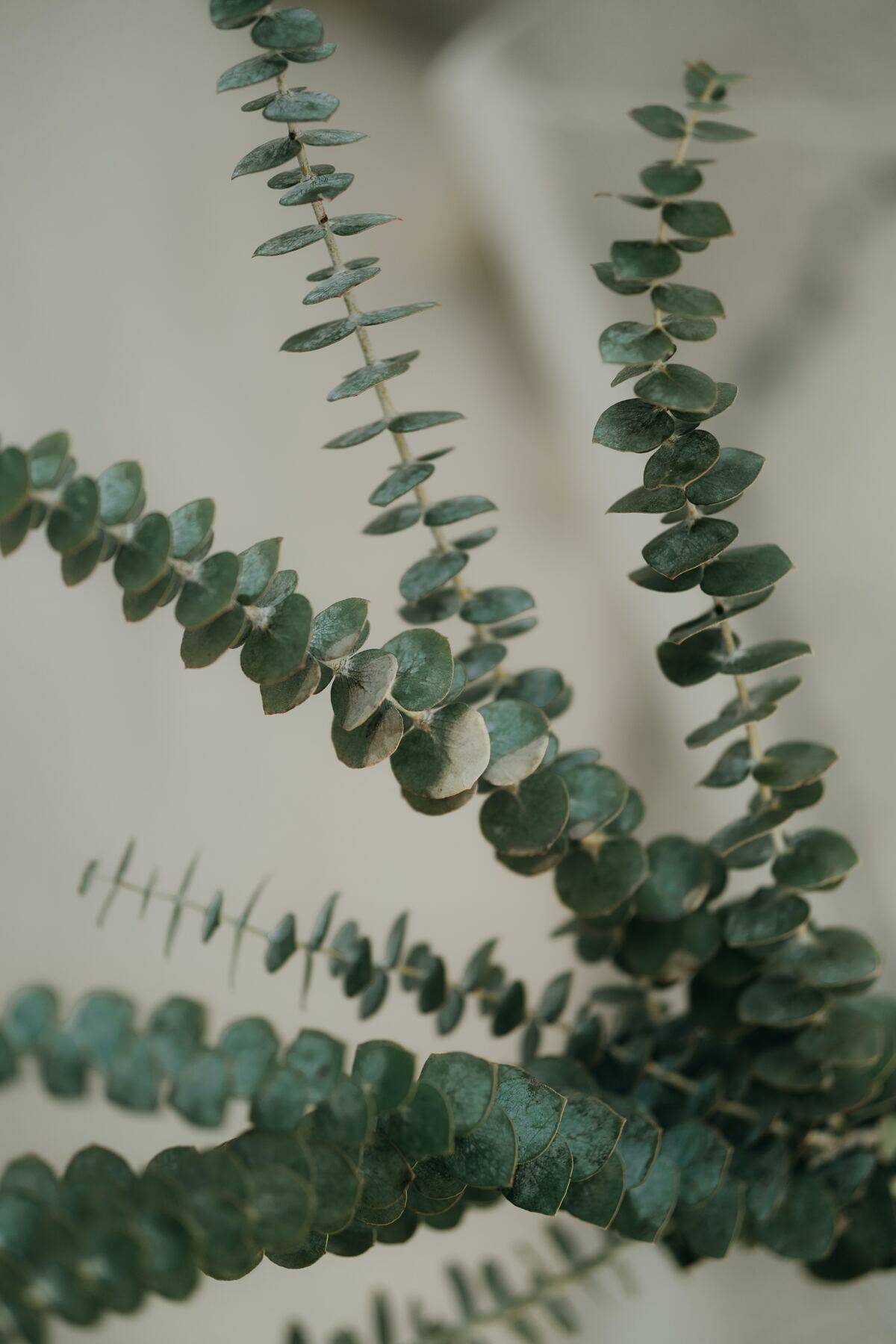 mathilde-langevin-qTIMfMtfEpg-unsplash