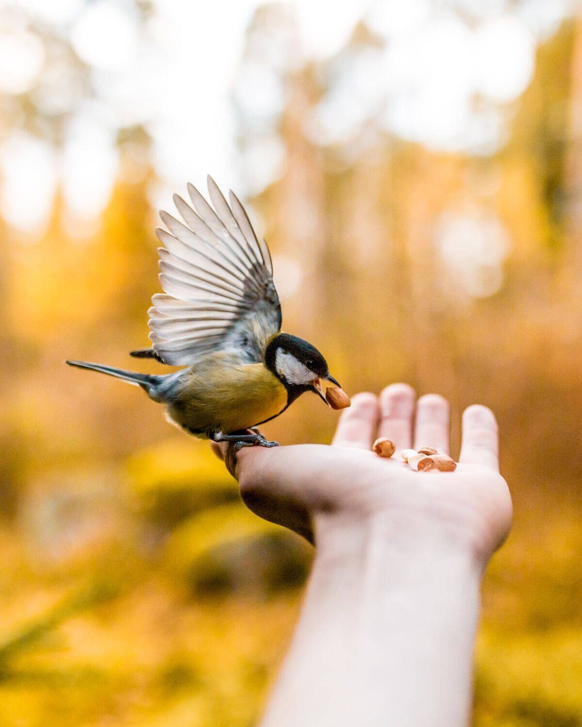taneli-lahtinen-fQ2YX56wQ-Y-unsplash
